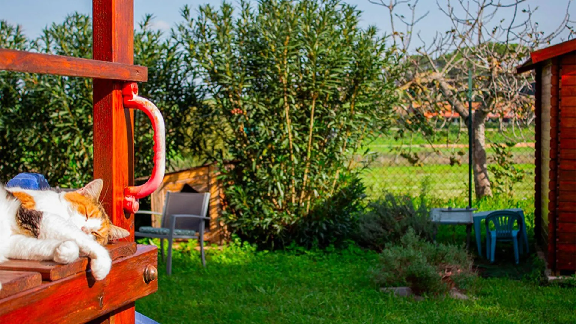 Divino Amore House Of Relax Falcognana di Sopra 0*,